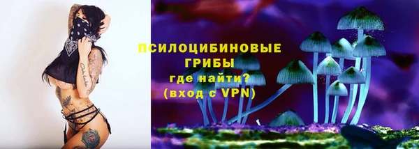 PSILOCYBIN Вязники