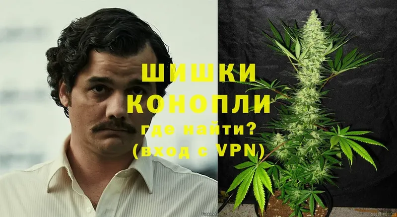 Бошки Шишки Ganja  Горбатов 